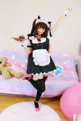 Hidori Rose – Chocola