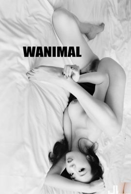 WANIMAL ဇန်နဝါရီ 2018 နှစ်သစ်ကူးလက်ရာများ (41P)