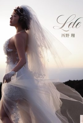 Sho Nishino (ဓာတ်ပုံ) 《Lele》 (88P)