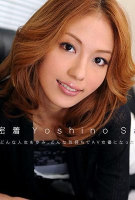 Sally Yoshino “ Naked Resume No.9 (13P)”