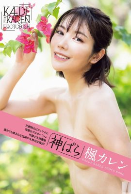 (ဂျပန်မော်ဒယ်အစုံ) Maple Blossom Love “ Kami ぱら”  (102P)