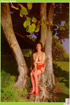 Hiromi Koide (ဓာတ်ပုံ) (KUNI Scan) (33P)