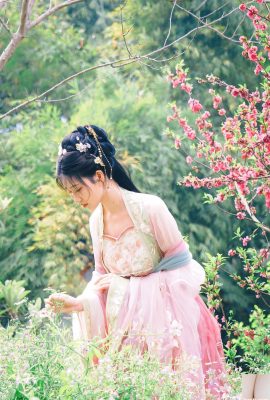 Nnian-Haitangxian (84p)