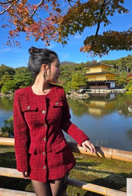 “ နန်စီ _li”  နတ်သမီးပုံပြင်သည်မြေကြီးပေါ်သို့ဆင်းပြီးမအောင်မြင်နိုင်သောပုံ (21P) ရှိခဲ့သည်