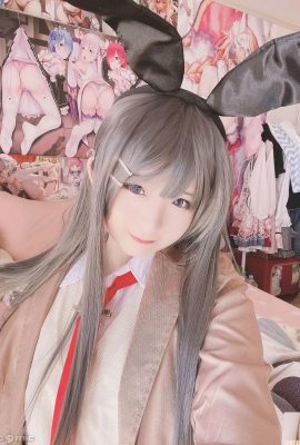 (မိုက်မဲသော) Mai Sakurajima Mai (27p)