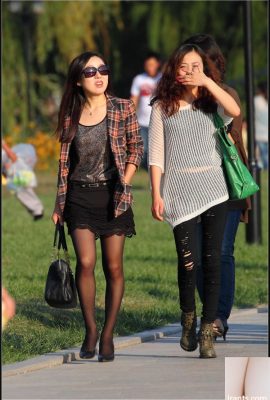 (အွန်လိုင်းစုဆောင်းခြင်း) အမျိုးမျိုးသော Stockings Beautions 6 (82p)