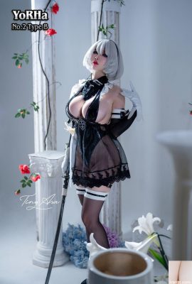 (အင်တာနက်စုဆောင်းခြင်း) Tiny Asa Yorha-2B (85p)