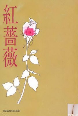 Porn သည် URA-Books Rose (59p)