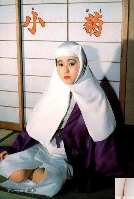 ညစ်ညမ်းသောစာအုပ်များတွင် porn ကြယ်ပွင့်များလား (? (52p)